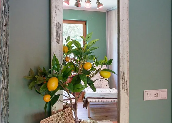 Villa Am Rande Von Dresden Fuer Bis Zu 11 Personen - Willkommen In Der Toscana