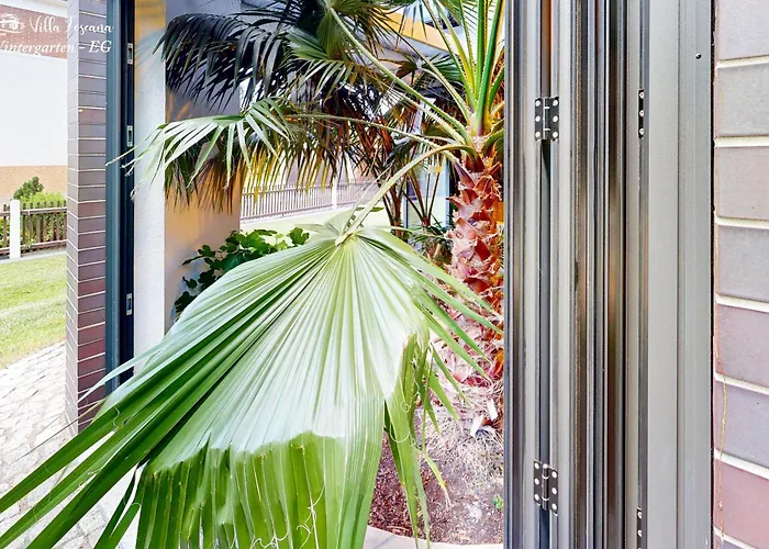 Am Rande Von Dresden Fuer Bis Zu 11 Personen - Willkommen In Der Toscana Arnsdorf (Arnsdorf, Bautzen)